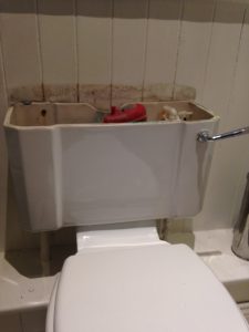 How to Replace a Toilet Cistern - Step by Step Guide