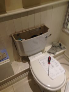 replacing a toilet cistern