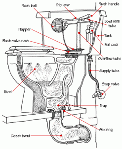 Toilet diagram