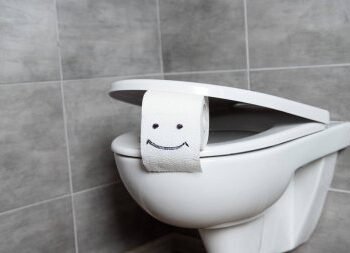 Handyman to replace the broken toilet seat
